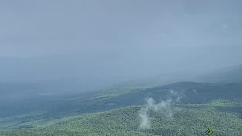 Kearsarge North Trailhead - Intervale, NH