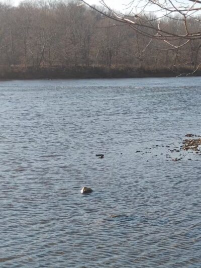 Iron City - Iron City, TN