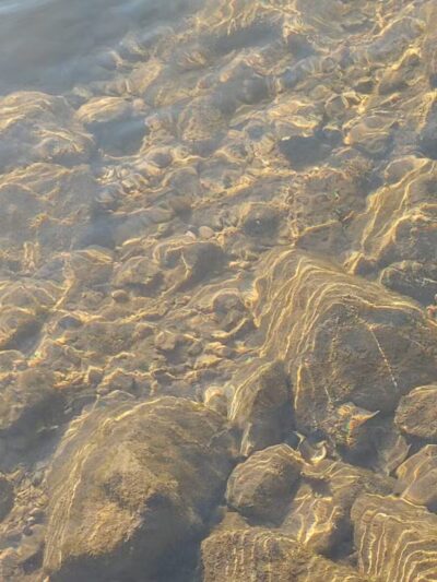 Iron City - Iron City, TN