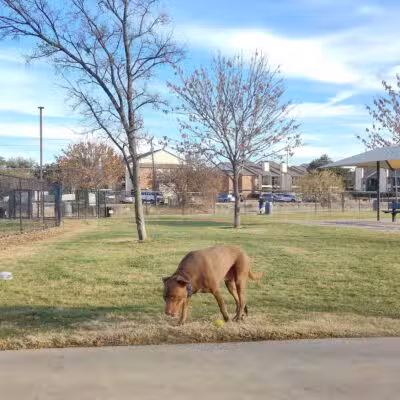 Irving Dog Park - Irving, TX
