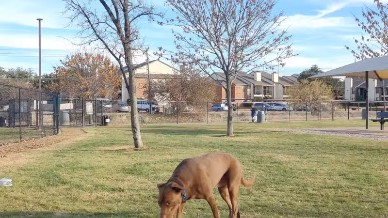 Irving Dog Park - Irving, TX