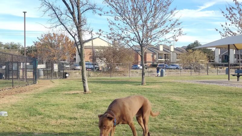 Irving Dog Park - Irving, TX