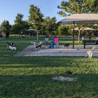 Irving Dog Park - Irving, TX