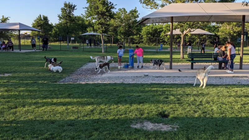 Irving Dog Park - Irving, TX