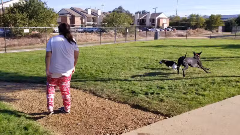 Irving Dog Park - Irving, TX