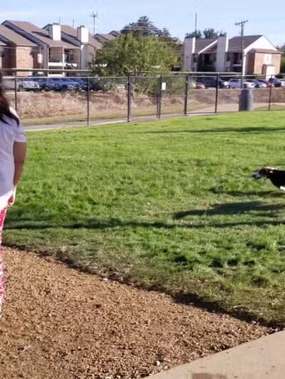 Irving Dog Park - Irving, TX