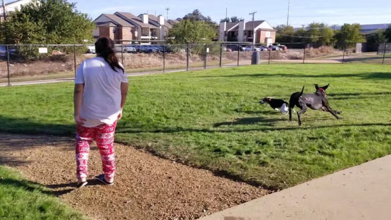 Irving Dog Park - Irving, TX