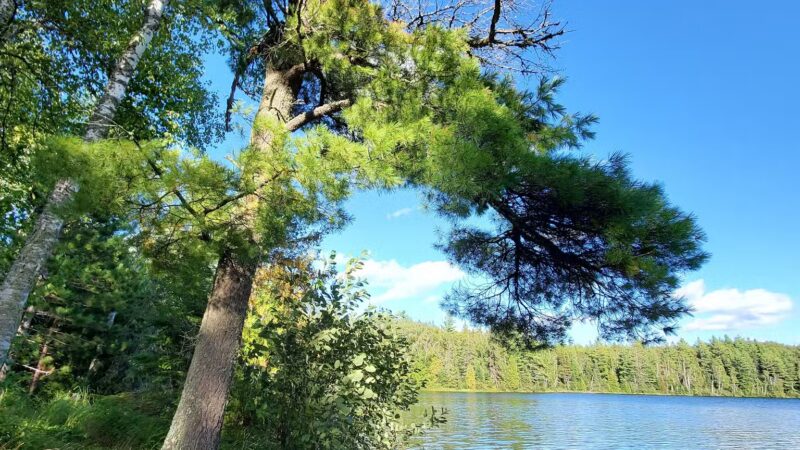 Hogback Lake Rustic Campground & Backcountry Sites - Isabella, MN