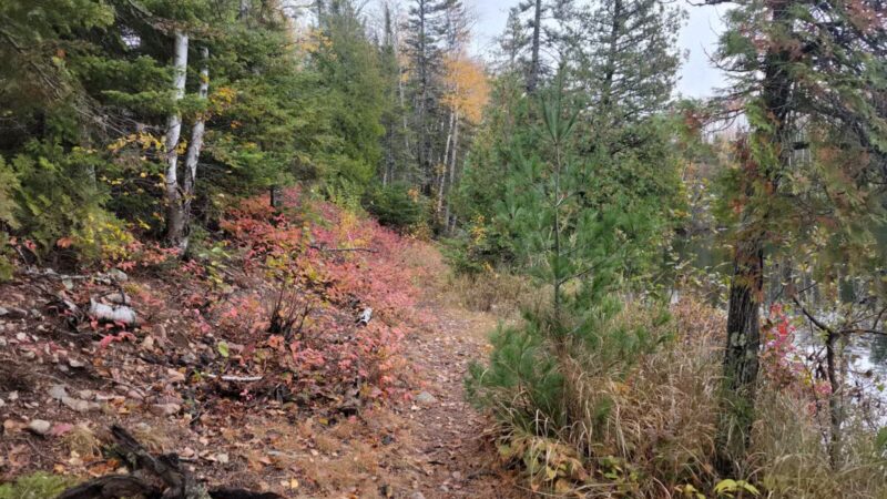 Hogback Lake Rustic Campground & Backcountry Sites - Isabella, MN