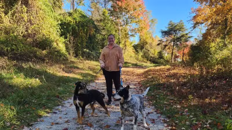 The Dog Dasher - Jacksboro, TN
