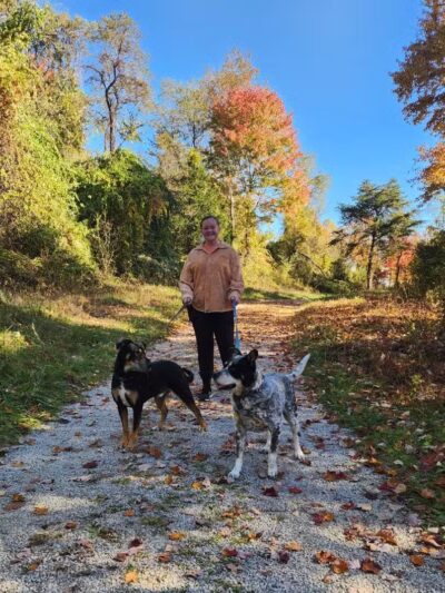 The Dog Dasher - Jacksboro, TN