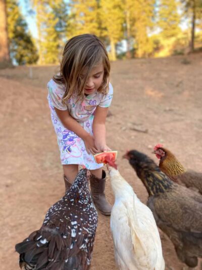 Dog & Pony Ranch - Jackson, CA