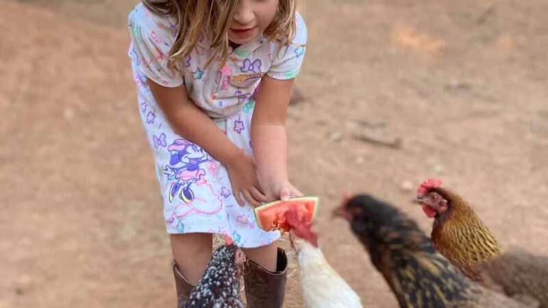 Dog & Pony Ranch - Jackson, CA