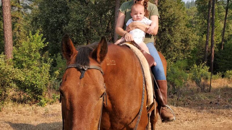Dog & Pony Ranch - Jackson, CA