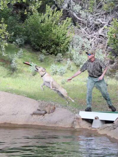 Dog & Pony Ranch - Jackson, CA