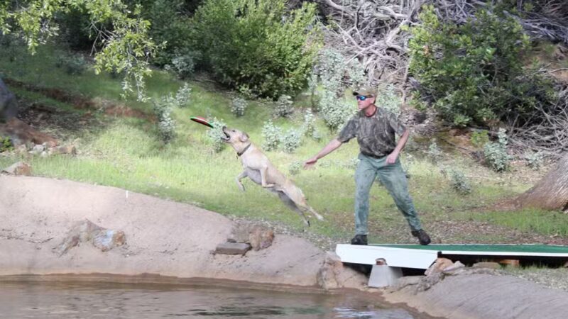 Dog & Pony Ranch - Jackson, CA