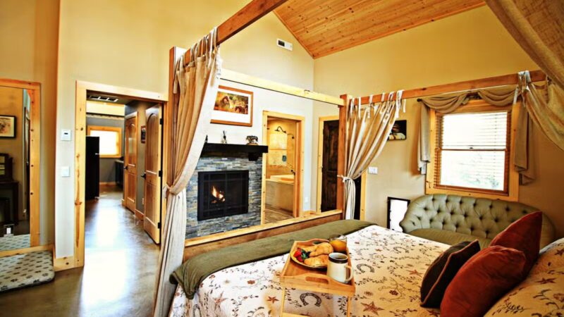 Dog & Pony Ranch - Jackson, CA