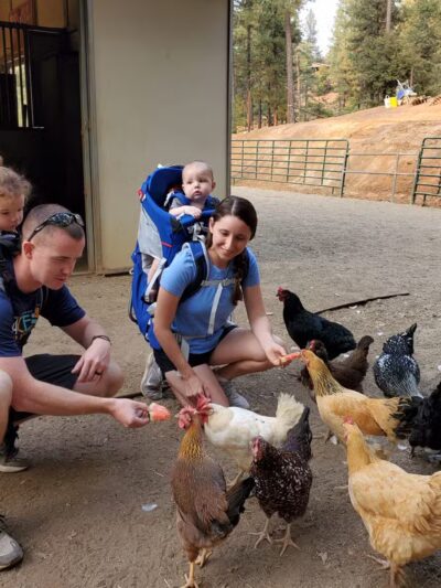 Dog & Pony Ranch - Jackson, CA