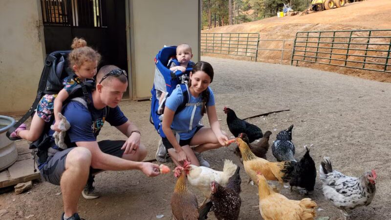 Dog & Pony Ranch - Jackson, CA