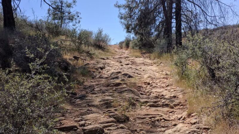 Red Hills Recreational Management Area - Jamestown, CA