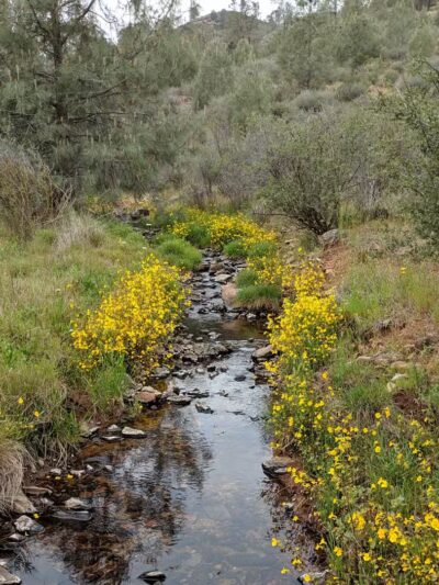 Red Hills Recreational Management Area - Jamestown, CA