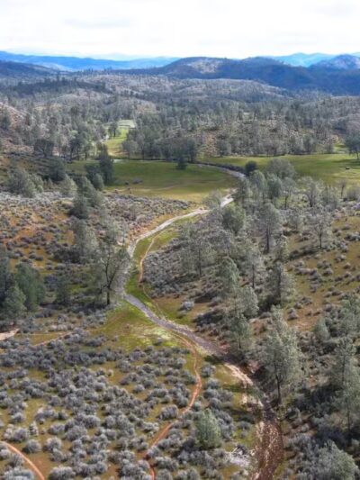 Red Hills Recreational Management Area - Jamestown, CA