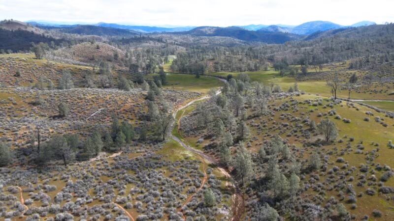 Red Hills Recreational Management Area - Jamestown, CA
