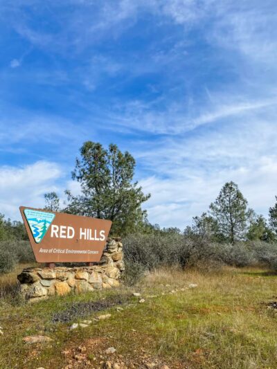 Red Hills Recreational Management Area - Jamestown, CA