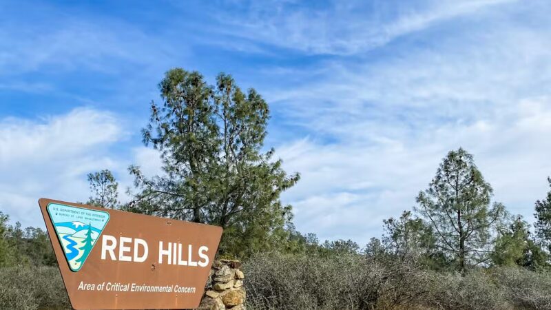 Red Hills Recreational Management Area - Jamestown, CA