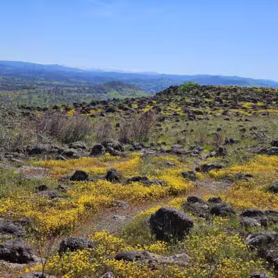 Table Mountain Trail - Jamestown, CA