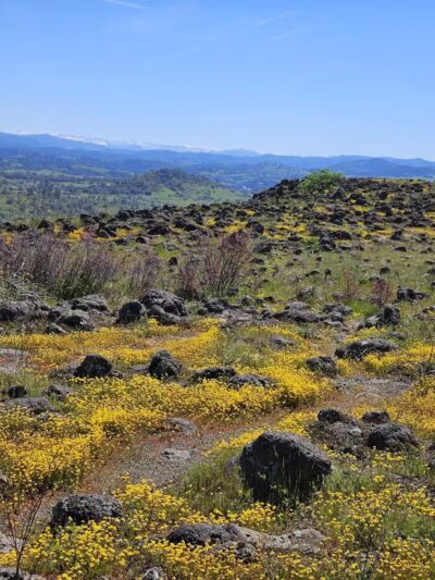 Table Mountain Trail - Jamestown, CA