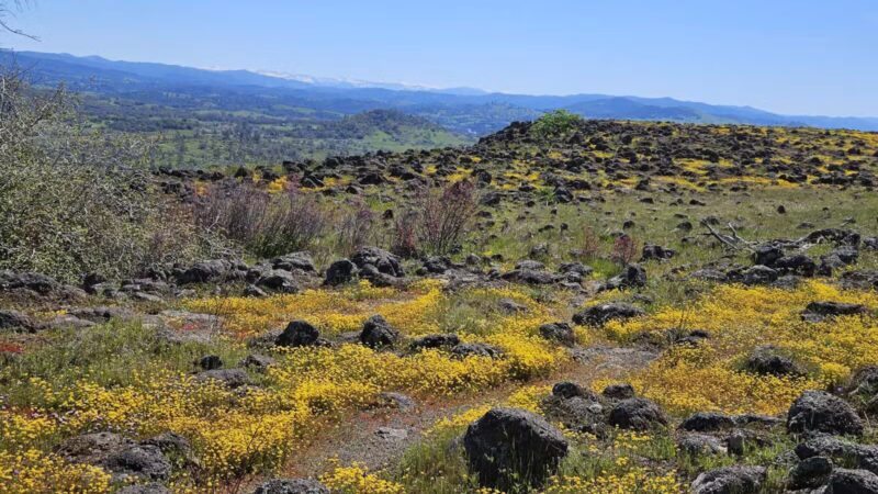 Table Mountain Trail - Jamestown, CA