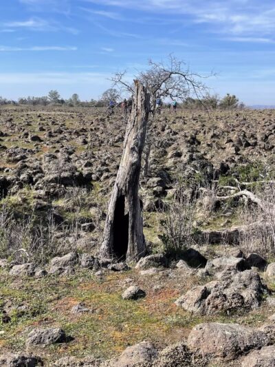 Table Mountain Trail - Jamestown, CA