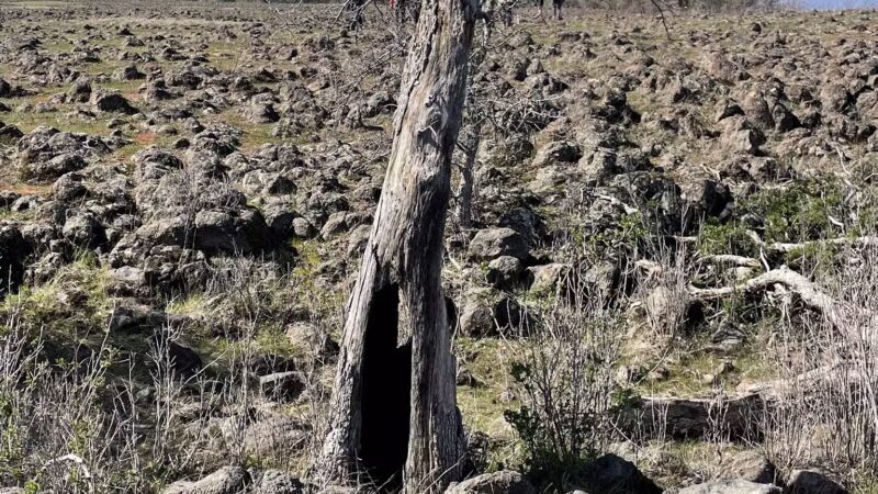 Table Mountain Trail - Jamestown, CA