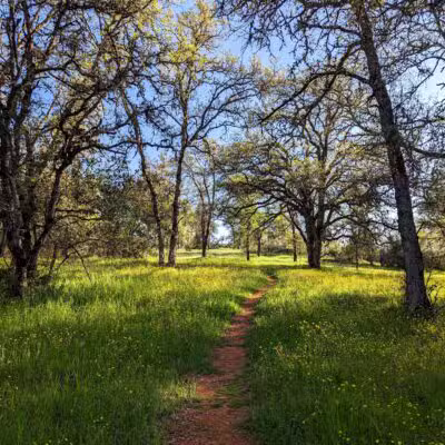 Table Mountain Trail - Jamestown, CA