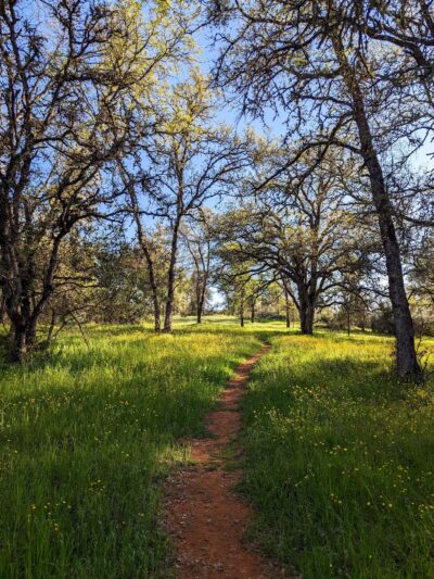 Table Mountain Trail - Jamestown, CA