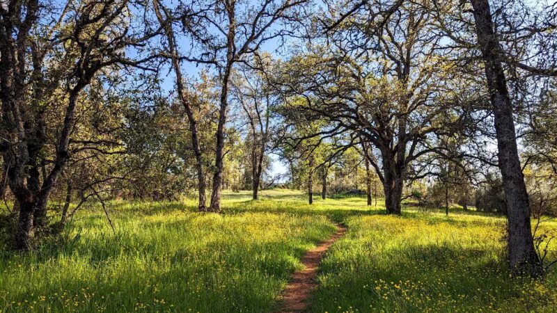 Table Mountain Trail - Jamestown, CA