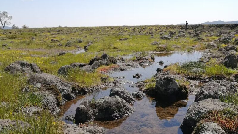 Table Mountain Trail - Jamestown, CA
