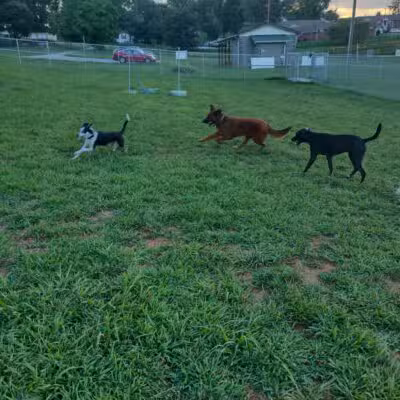 Centennial Park - Jefferson City, TN