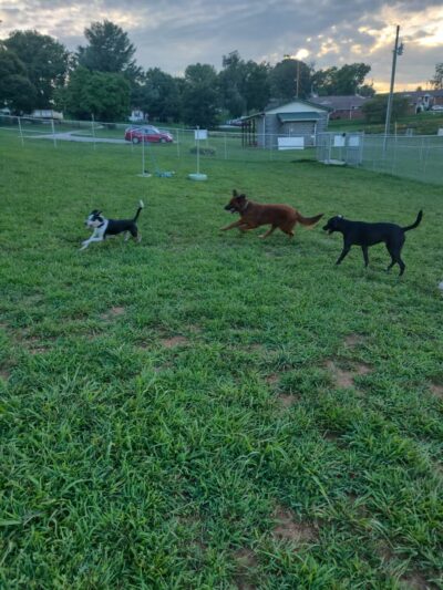 Centennial Park - Jefferson City, TN