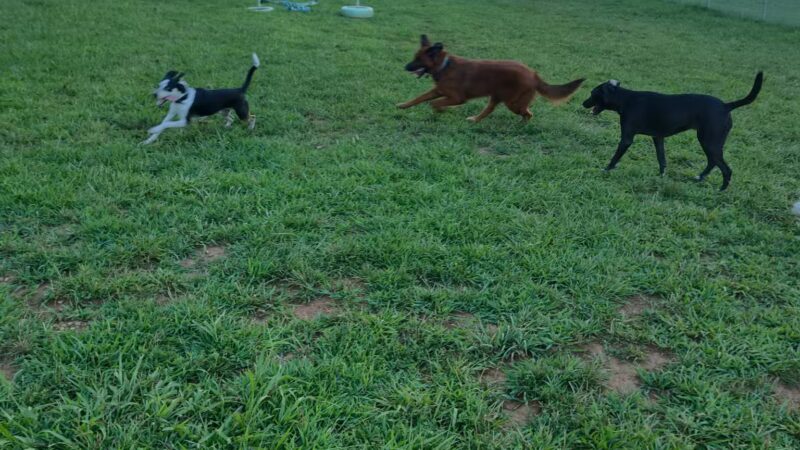 Centennial Park - Jefferson City, TN