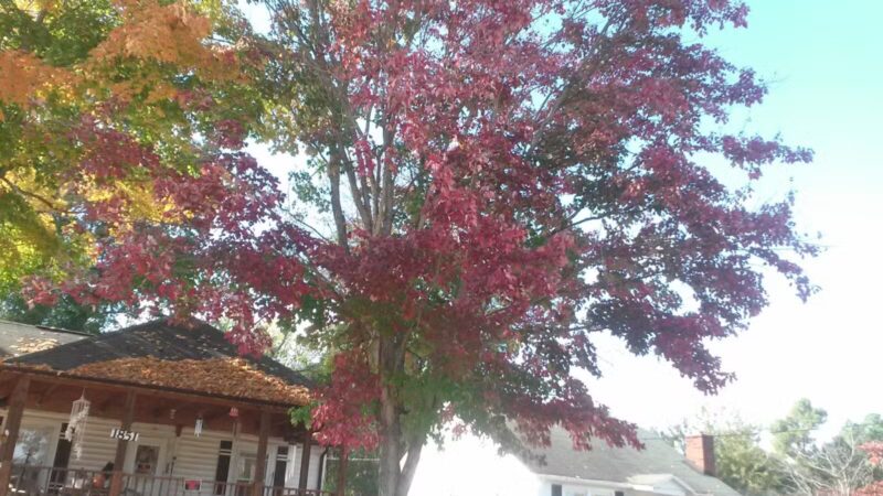 Centennial Park - Jefferson City, TN