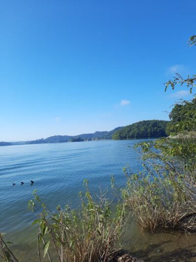Cherokee Dam Park - Jefferson City, TN