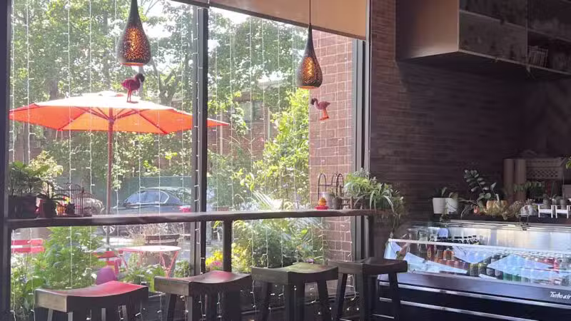 H Noodle House 奶奶食堂 - Jericho, NY