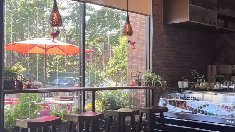 H Noodle House 奶奶食堂 - Jericho, NY
