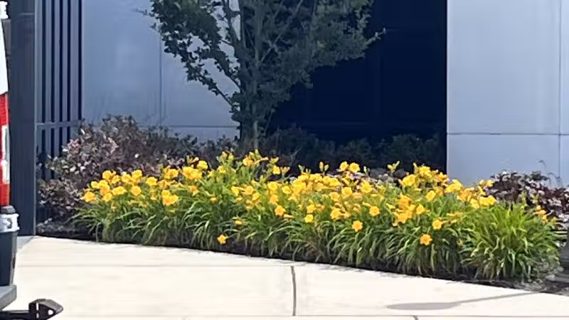 Jericho - Jericho, NY