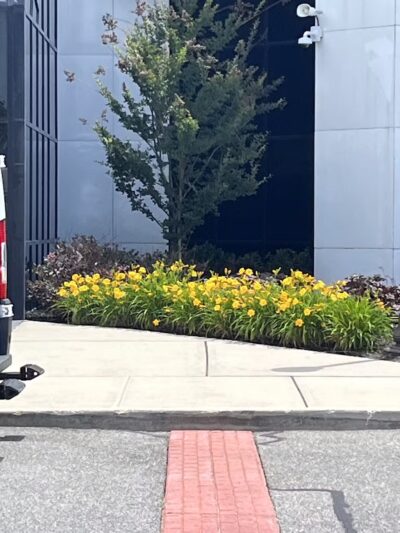 Jericho - Jericho, NY