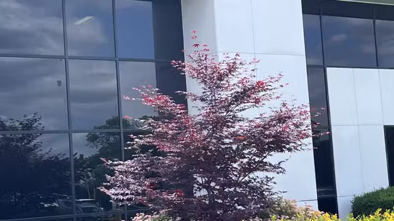 Jericho - Jericho, NY