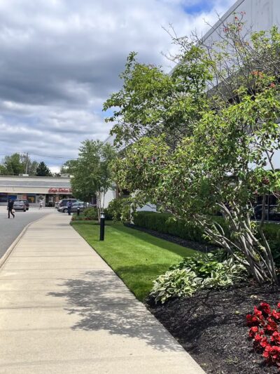 Jericho - Jericho, NY