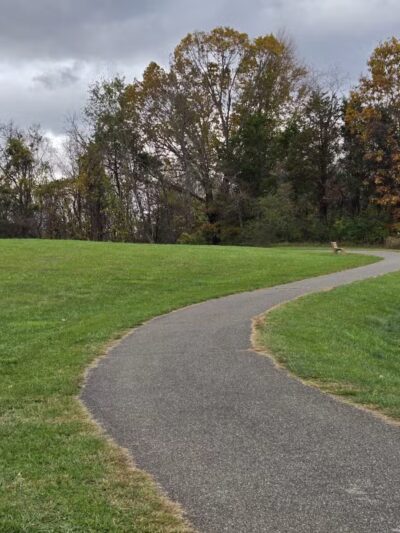 Johnson City Dog Park at Willow Springs [MEMBERS ONLY] - Johnson City, TN